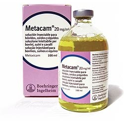 Metacam sales 100 ml